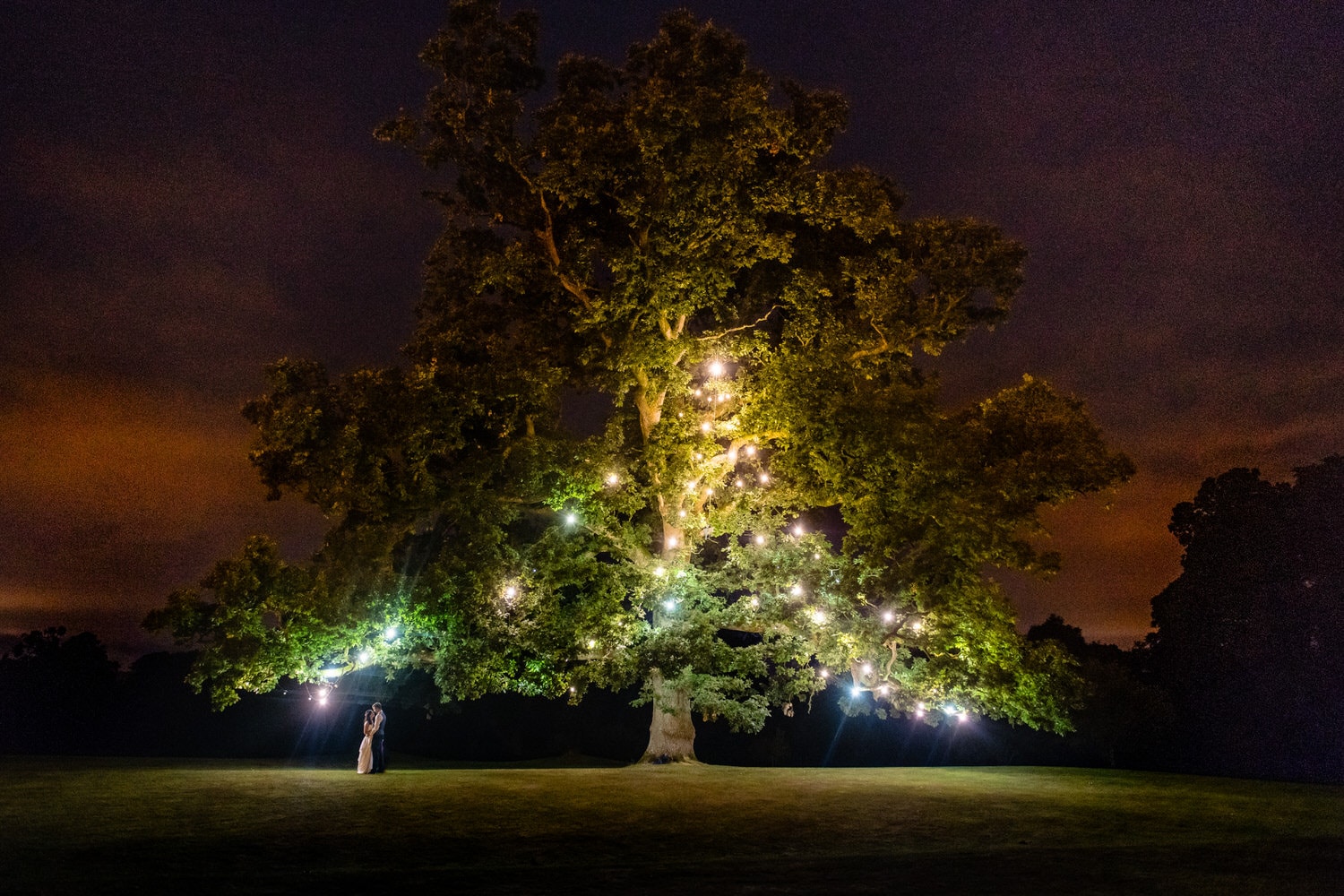 A couple pictured under a large tree with shining lights under a dramatic red sky, taken at Rathsallagh House. 